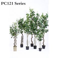 Plastic-Ficus-Microcarpa-Tree