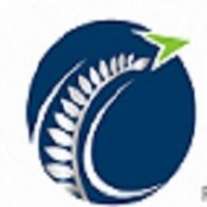NZ-immigration-logo.jpg