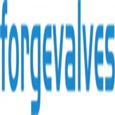 logo-forgevalves-china-forged-valves-supplier_pLkwUX-1300.jpg